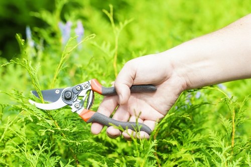 Close-up of gardener pruning with adaptive tools